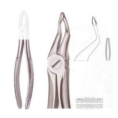 Extracting Forceps